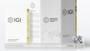 Giấy chứng nhận IGI