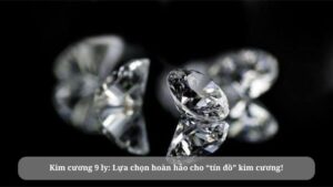 kim cương 9 ly