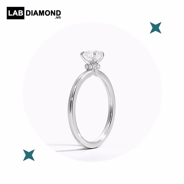 5 li hidden halo