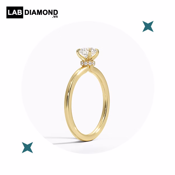 5 li hidden halo