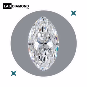 Kim cương IGI marquise 1.0ct D-VVS2